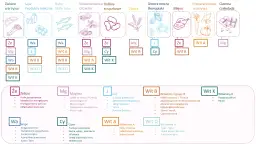 Witaminy przy karmieniu: 5 kluczowych dla zdrowia dziecka