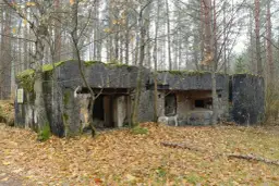 Najlepsze atrakcje w Jedwabnie, które musisz zobaczyć podczas wizyty