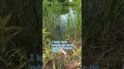 Gdzie na ryby bez karty Radom? Odkryj łowiska bez licencji