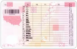 Jaką kategorię prawa jazdy potrzebujesz na tira? Sprawdź wymagania i koszty!