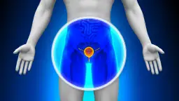 Jak się przygotować do badania USG prostaty - uniknij nieprzyjemności