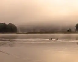 Jezioro Giłwa: piękno natury, wędkowanie i atrakcje turystyczne