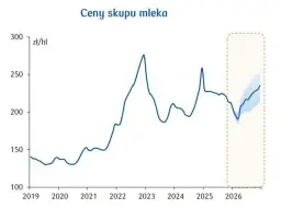 Cena skupu mleka 2026: Ile płacą mleczarnie? Prognozy