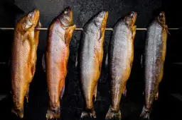 Jak wędzić rybę – sprawdzone metody i najczęstsze błędy do uniknięcia