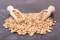 Czy makaron ma gluten? Rozwiewamy wątpliwości i wskazujemy alternatywy