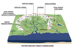 Co to jest źródło rzeki i jak wpływa na ekosystem?