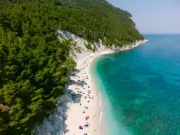 Aerial view of a crowded white sand beach with turquoise water, backed by a lush green forest and white cliffs.