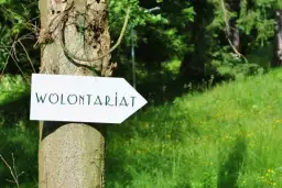 Ile godzin trzeba przepracować w wolontariacie w szkole? Sprawdź!