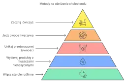 Jak skutecznie obniżyć cholesterol nie-HDL i zadbać o serce