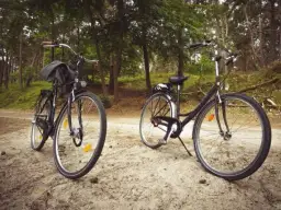 Trasy rowerowe Płock: Odkryj najlepsze szlaki i atrakcje w regionie