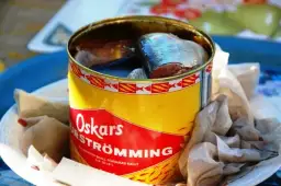 Śledzie szwedzkie! Poznajmy tajemnicę ich niepowtarzalnego smaku