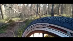 Jaką oponę na asfalt i do lasu wybrać, by uniknąć problemów?