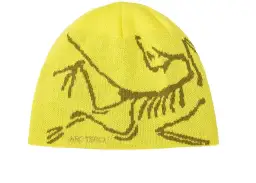 Arc'teryx Bird Head Mütze: Kult-Beanie im Test Lohnt sich der Hype?