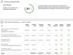 Czy zapytanie do BIK obniża zdolność kredytową? Sprawdź, co musisz wiedzieć
