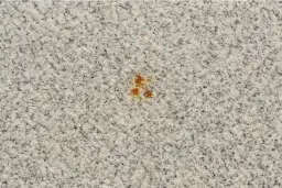 Jak skutecznie usunąć rdzę z łazienki? Poradnik krok po kroku