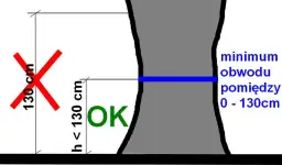 Na jakiej wysokości mierzymy obwód drzewa do wycinki, aby uniknąć problemów?