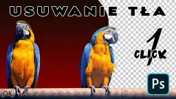 Jak usunąć białe tło w Photoshopie - proste metody krok po kroku