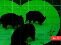 Nocne polowanie na dziki z dubeltówką? Obraz sugeruje, że to fałsz. Widoczne są sylwetki dzików i siatka celownicza.