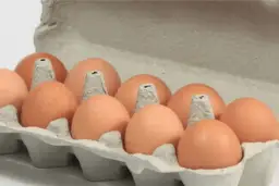 Ile można zarobić na sprzedaży jajek: rzeczywiste zyski i koszty hodowli