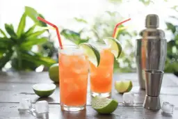 Najlepsze drinki ze spritem, które zaskoczą Twoich gości na imprezie