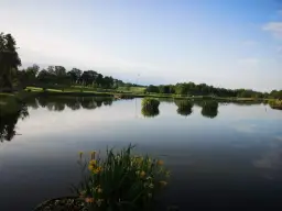 Łowisko u Wiesi - idealne miejsce na wędkowanie w Zasutowie