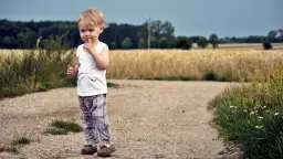 Mały chłopiec w kratkach, z palcem w ustach, jakby śpiewał tekst piosenki kiedy byłem małym chłopcem, na tle pola.