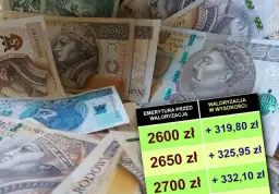 Ile wynosi emerytura matczyna netto? Sprawdź, ile naprawdę dostaniesz