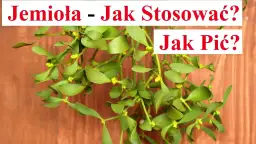 Jak parzyć herbatę z jemioły, aby wydobyć jej pełnię smaku