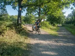 Najlepsze trasy rowerowe w Gliwicach - długość, trudność i więcej