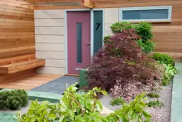 Co posadzić przed wejściem do domu, aby zachwycić gości i sąsiadów