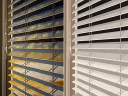 Jak usunąć pleśń z rolety okiennej - skuteczne metody i porady