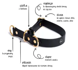 Jak uszyć obrożę dla psa? Stwórz bezpieczną i unikalną!