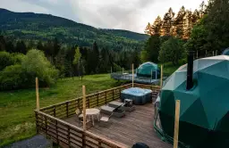 Gdzie na grzyby z noclegiem? Odkryj TOP miejsca w Polsce!