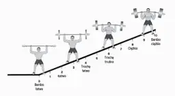 Jak zaplanować trening na siłowni? Klucz do masy i siły!