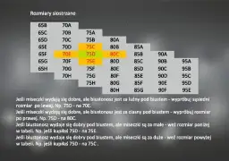 Jakie są preferencje dotyczące idealnego rozmiaru biustu? Zaskakujące wyniki!