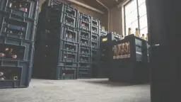 Ile piwa w skrzynce? Odkryj standardowe pojemności i wymiary