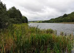 Jezioro Kczewskie - idealne miejsce na wędkowanie i relaks w naturze