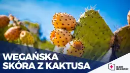 Wegańska skóra z czego powstaje? Odkryj zaskakujące materiały