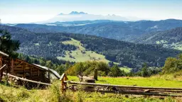 Krynica-Zdrój: Wybór sanatorium uniknij pułapek! Porady seniora