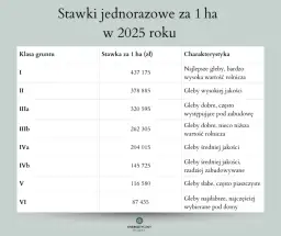 Odrolnienie działki rolnej: Przewodnik, koszty i zmiany 2026