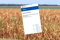 Jak działa aplikacja suszowa i jak uniknąć strat w uprawach