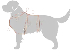 Jak zmierzyć szelki dla psa? Sekret idealnego dopasowania