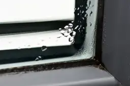 Skuteczne metody na usunięcie pleśni z uszczelki okna w 5 krokach