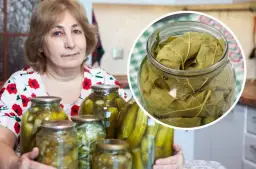 Czy można kroić ogórki do kiszenia? Oto, co musisz wiedzieć