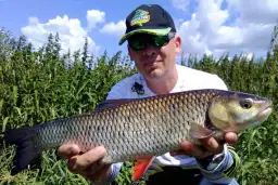 Jak łowić klenie na spinning - sprawdzone techniki i skuteczne przynęty