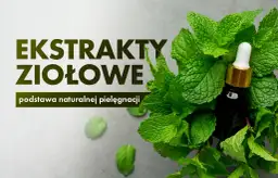 Jak zrobić ekstrakt roślinny - proste metody i najczęstsze błędy