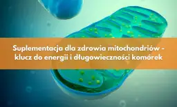 Metabolizm: Klucz do energii i zdrowia. Jak działa Twoje ciało?