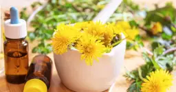 Gdzie kupić sok z podbiału? Sprawdź najlepsze oferty online