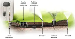 Jak ustawić zraszacz wahadłowy? Poradnik krok po kroku