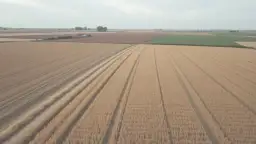 Jakie są aktualne dopłaty do ugoru? Co zmieniają nowe przepisy?